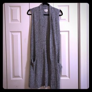 Aritzia / Wilfred Dunkirk sweater vest